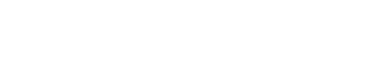 ECOWASH