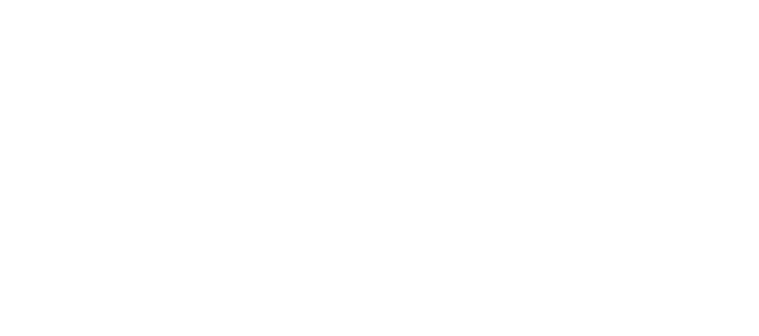 Nivia